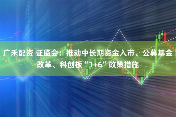 广禾配资 证监会：推动中长期资金入市、公募基金改革、科创板“1+6”政策措施